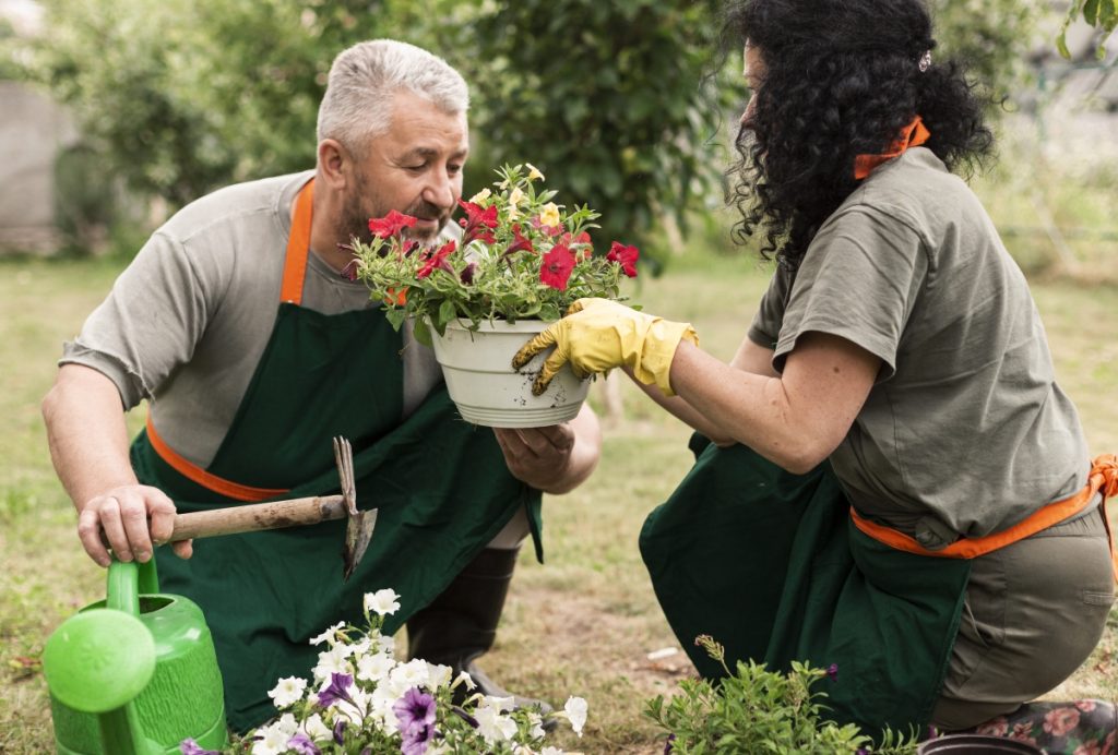 aménagement jardin durable