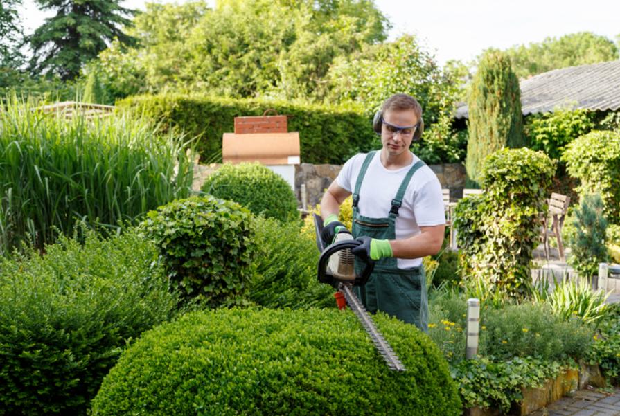 Création et entretien de jardins