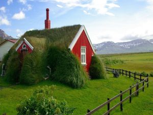 toiture écologique pour une maison respectueuse de l'environnement