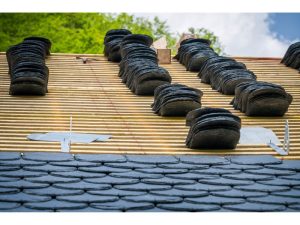 toiture écologique pour une maison respectueuse de l'environnement